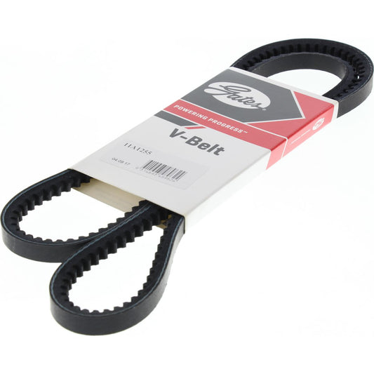 Dayco V-Belt 11A1255