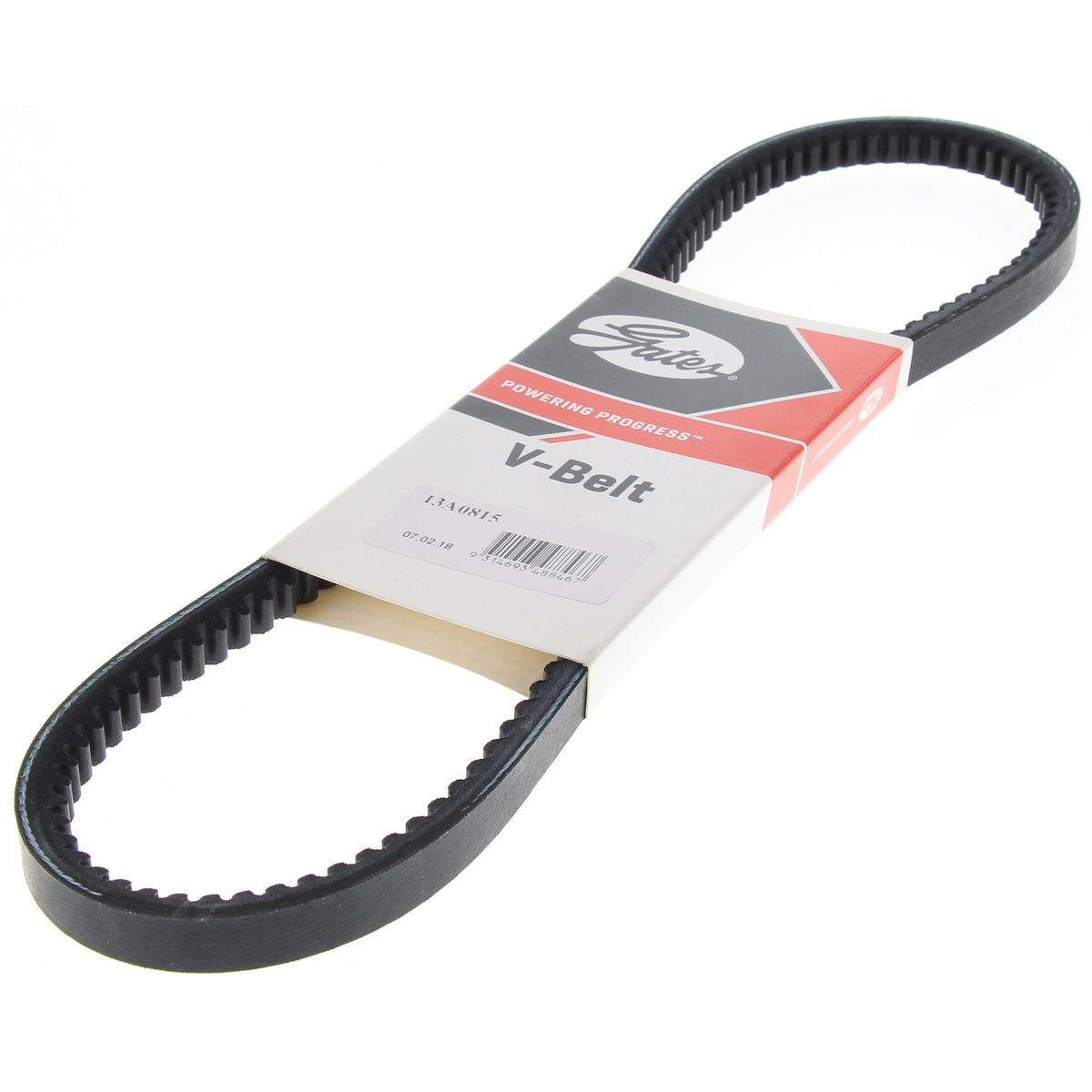Dayco V-Belt 13A0815