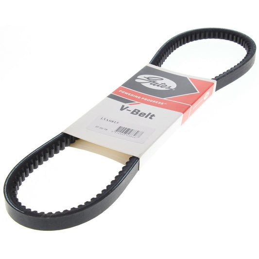 Dayco V-Belt 13A0815