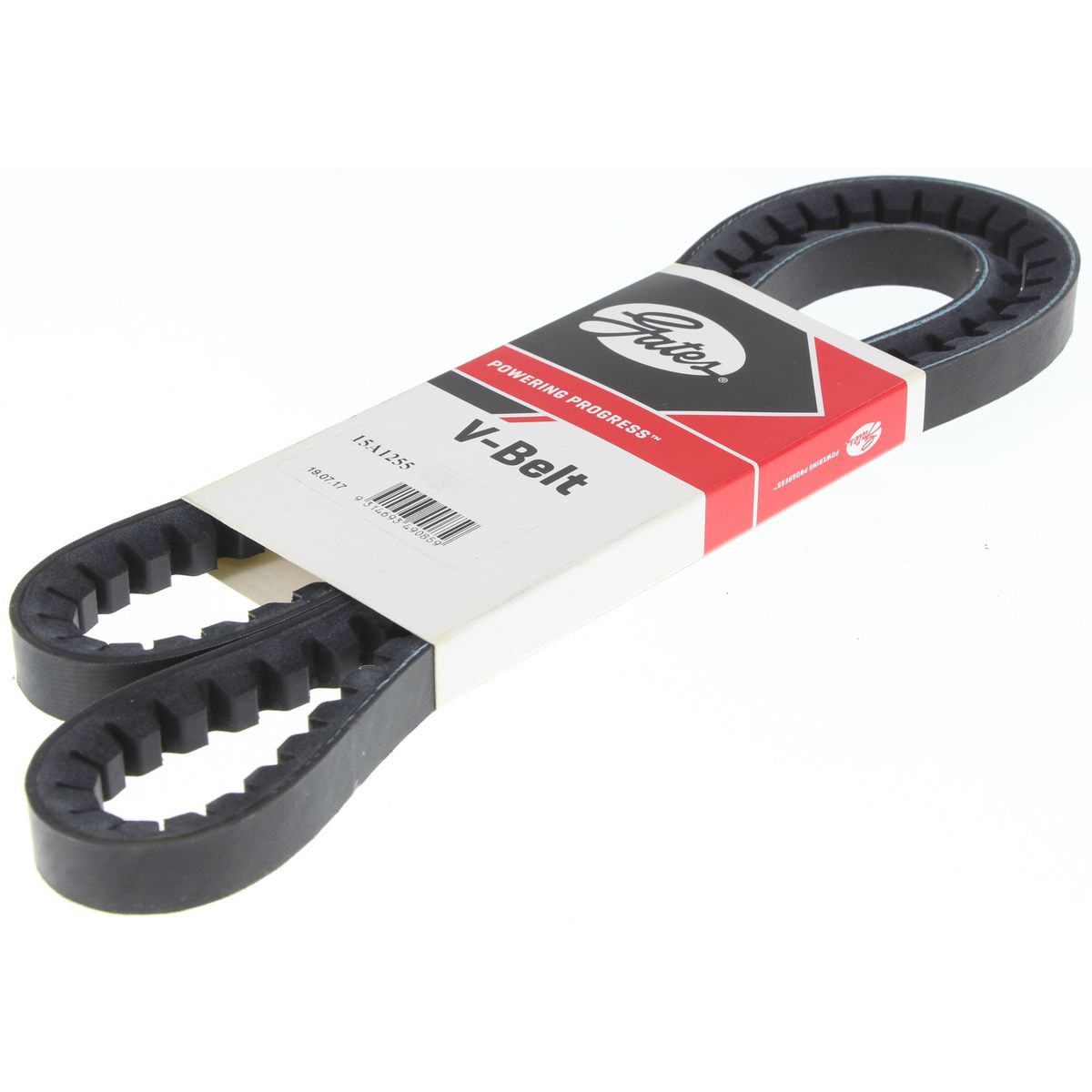 Dayco V-Belt 15A1255