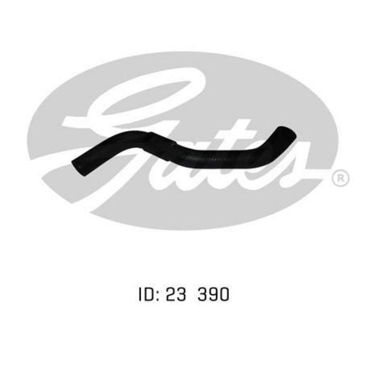Champion Fasteners Machine Screws Pan Phillips Stainless Steel 8/32in x 3/4in 304/A2 C1860-3