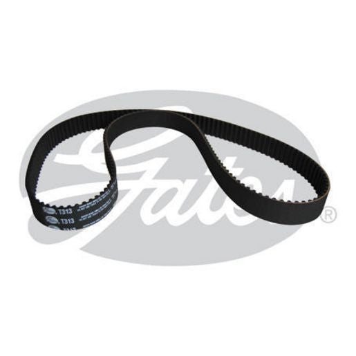 Gates Timing Belt T313
