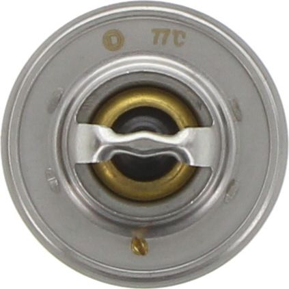 Dayco Thermostat DT77E