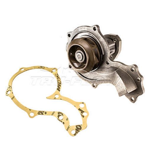 Tru-Flow Water Pump (Saleri Italy) TF8126