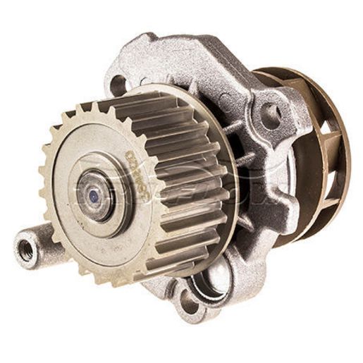 Tru-Flow Water Pump (Saleri Italy) TF8131