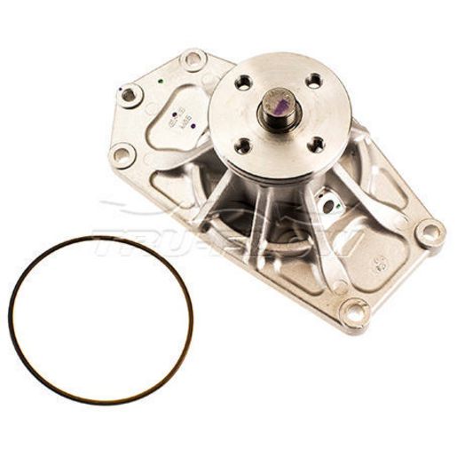 Tru-Flow Water Pump (GMB) TF8191