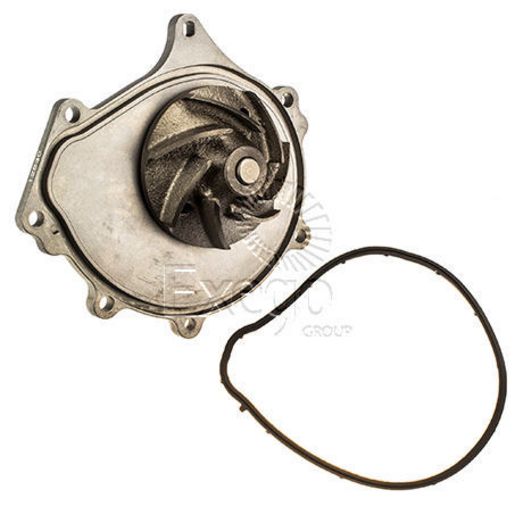 Tru-Flow Water Pump (Saleri Italy) TF8198