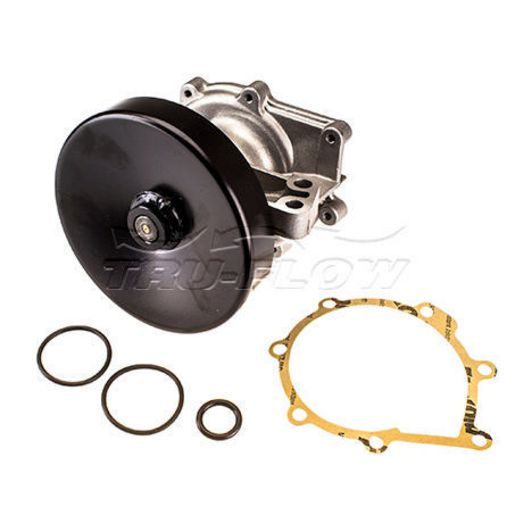 Tru-Flow Water Pump (Saleri Italy) TF8248