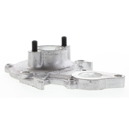 Kilkenny Water Pump Backing Plate WO449