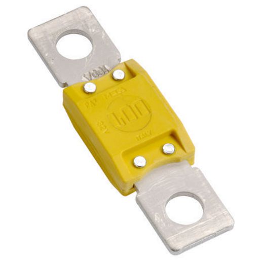 PROJECTA 100A MEGA Fuse BT950-100