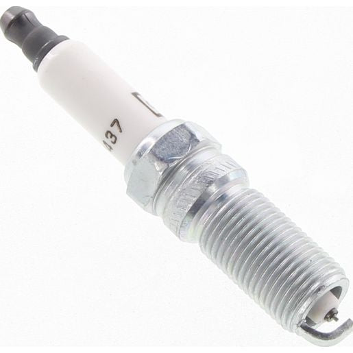 Champion Platinum Spark Plug 7437