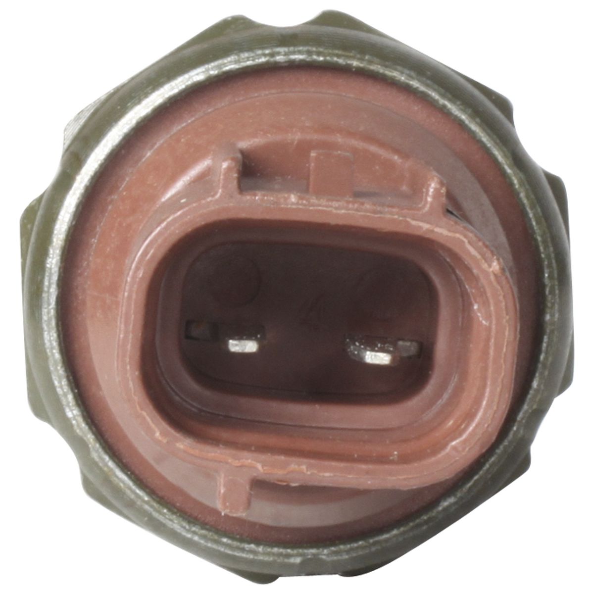 OEX AC Pressure Switch Male Binary PSX030