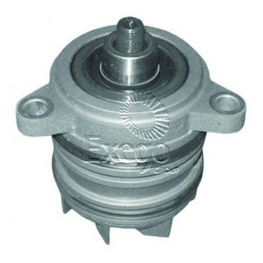 Tru-Flow Water Pump (Saleri Italy) TF8318
