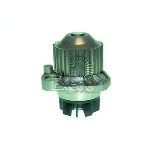Tru-Flow Water Pump (Saleri Italy) TF8329