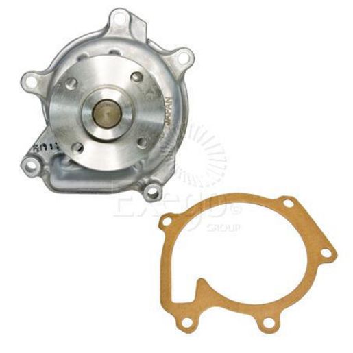 Kiwi Bare Cylinder Head 10041010