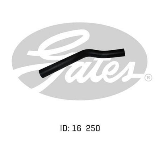Gates Radiator Hose 02-1196