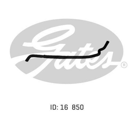 Gates Radiator Hose 02-1163