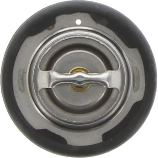 Dayco Thermostat DT104E