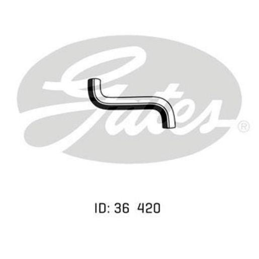 Gates Radiator Hose 15097