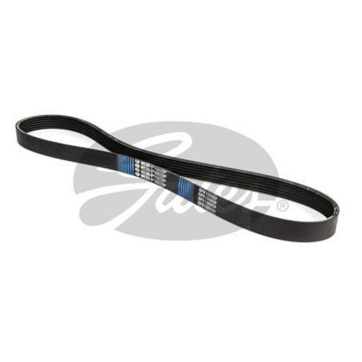 Gates Ribbed Belt 6PK1090SF