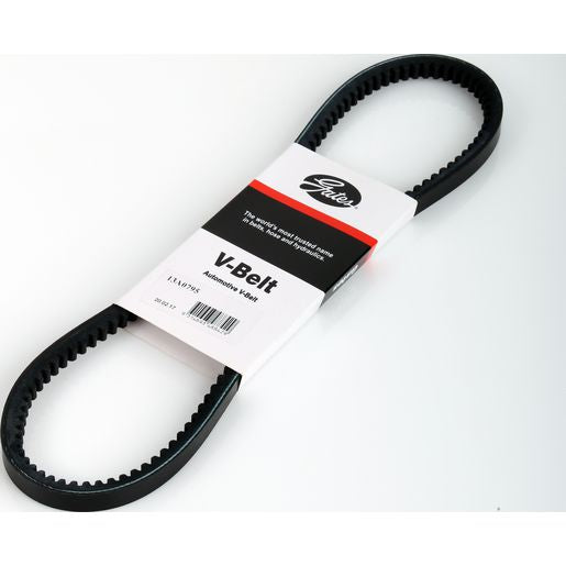 Dayco V-Belt 13A0795