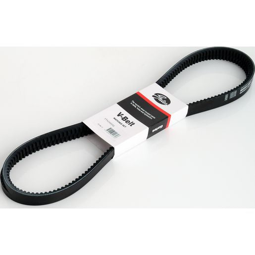 Dayco V-Belt (Pair) 13A1055M