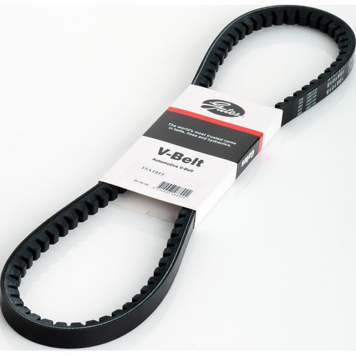 Dayco V-Belt 15A1015