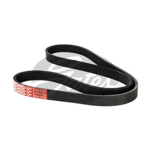 Dayco Ribbed Belt 5PK1195