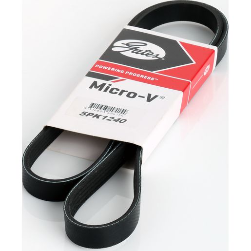 Dayco Ribbed Belt 5PK1240