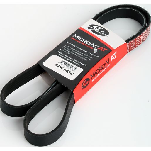 Dayco Ribbed Belt 6PK1460