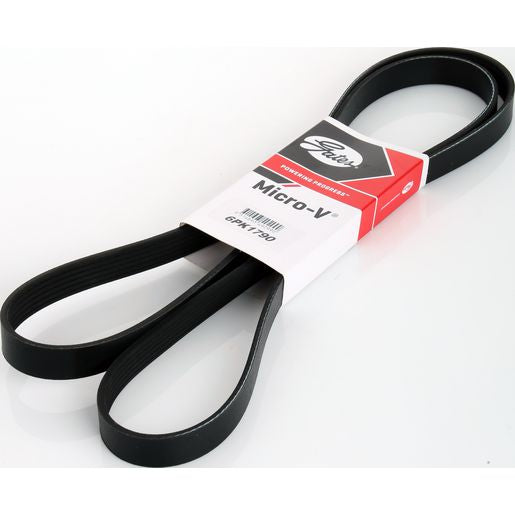 Dayco Ribbed Belt 6PK1790