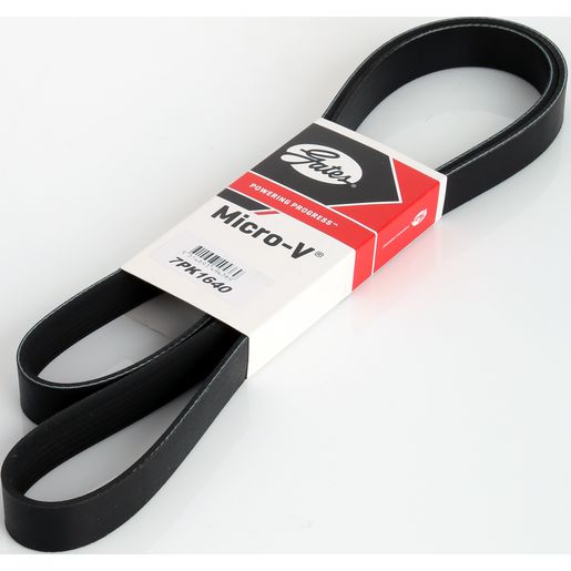 Gates Ribbed Belt 7PK1640