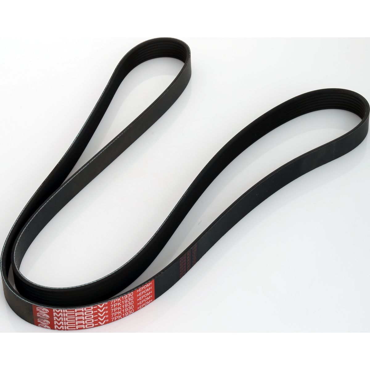 Holden Ribbed Belt 7PK1930