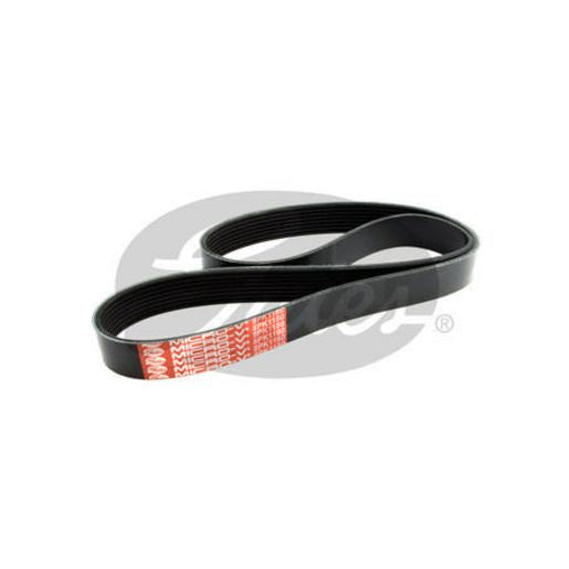 Dayco Ribbed Belt 8PK1180