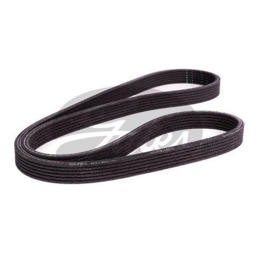 Contitech Ribbed Belt 6DPK1825