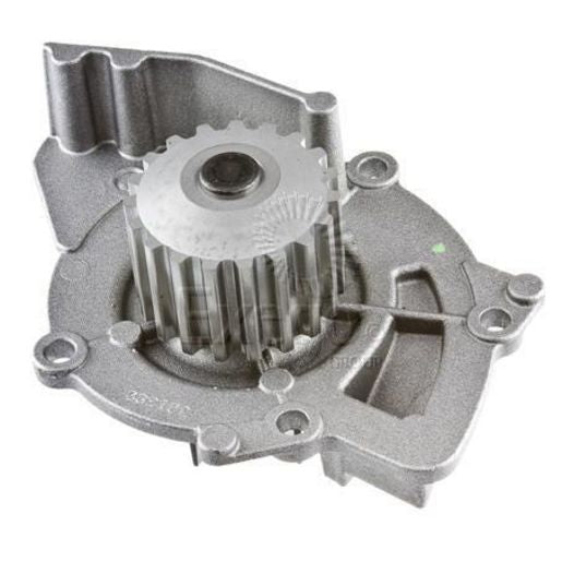 Tru-Flow Water Pump (Saleri Italy) TF8382