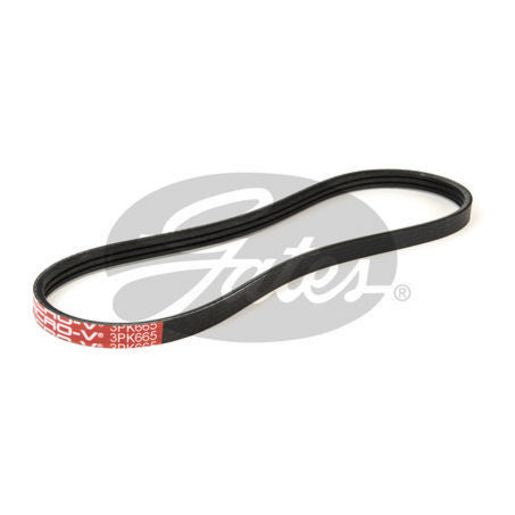 Gates Ribbed Belt 3PK665