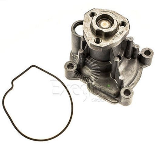 Tru-Flow Water Pump (Saleri Italy) TF8418