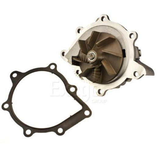 Tru-Flow Water Pump (Saleri Italy) TF8429