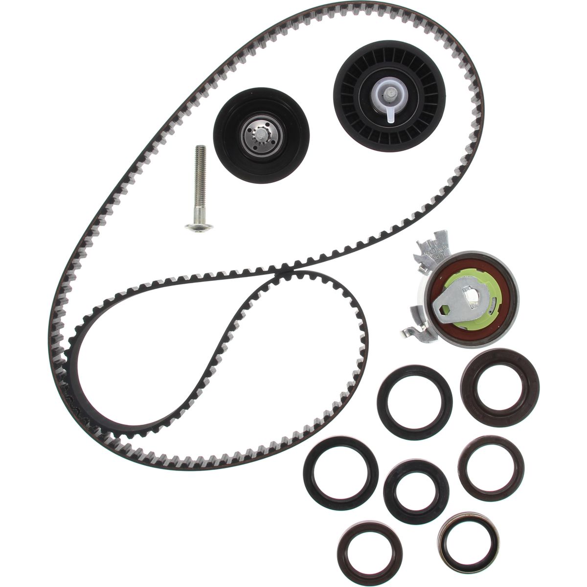 OEX Timing Chain Kit TCK1094