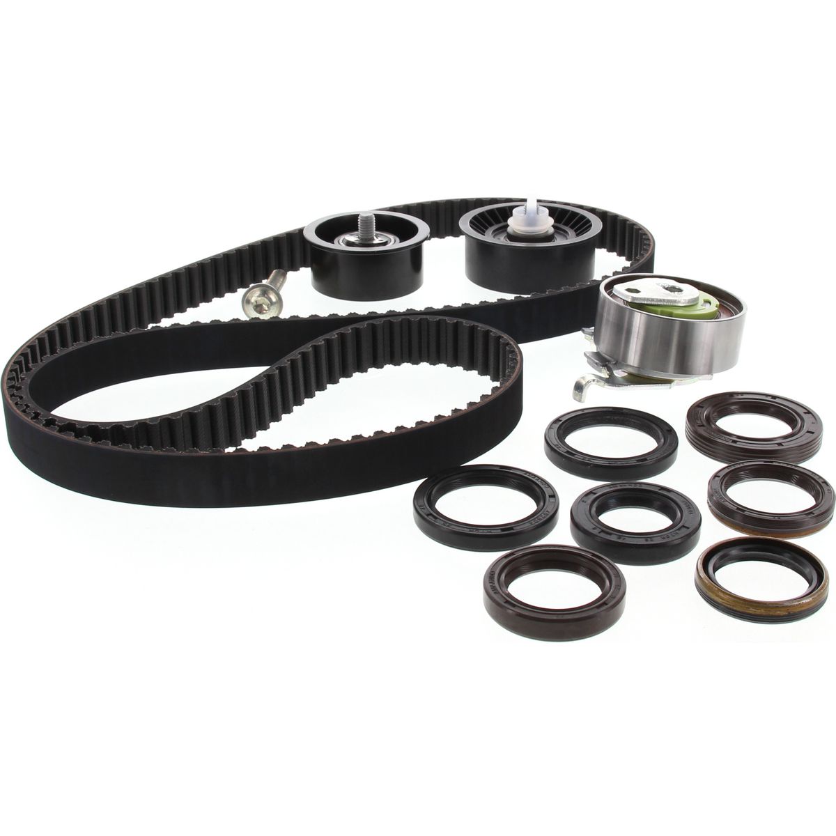 OEX Timing Chain Kit TCK1094