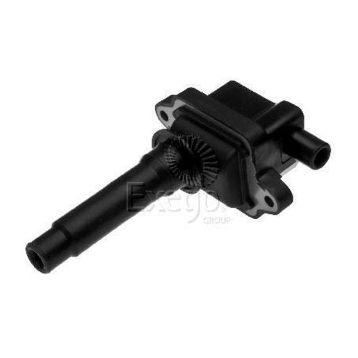 Goss Ignition Coil C366