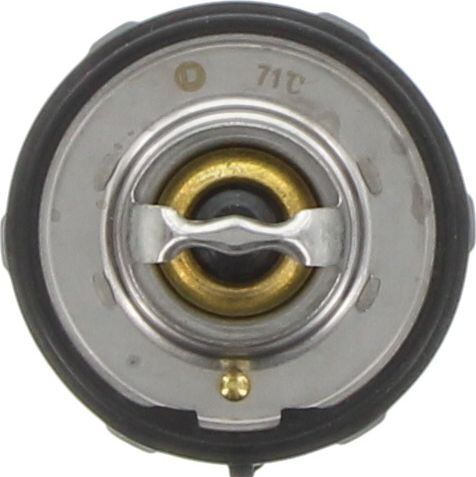 Dayco Thermostat DT125C
