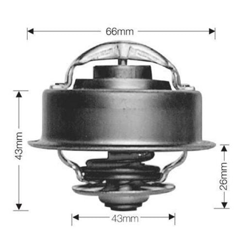 Dayco Thermostat DT32E