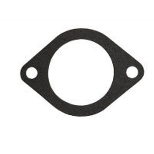 Dayco Thermostat Seal DTG88