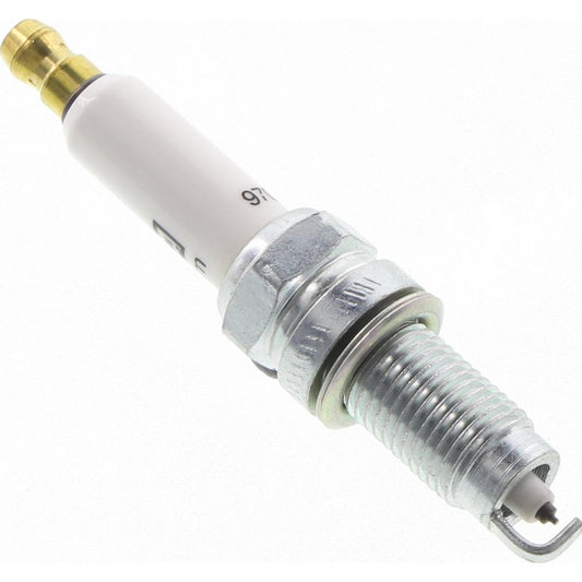 Champion Iridium Spark Plug 9702
