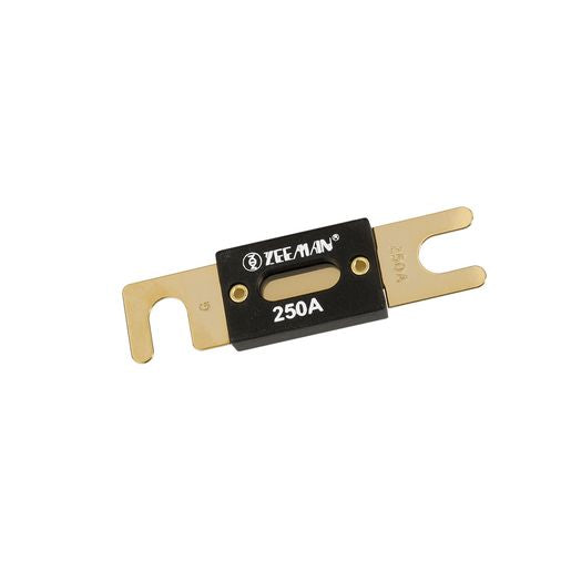 PROJECTA 250A Anl Fuse IF-250