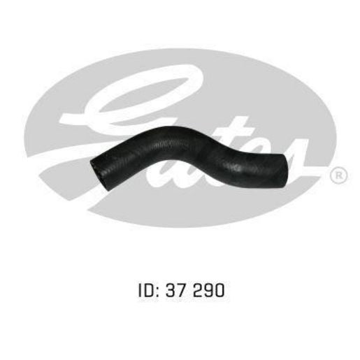 Gates Radiator Hose 9618