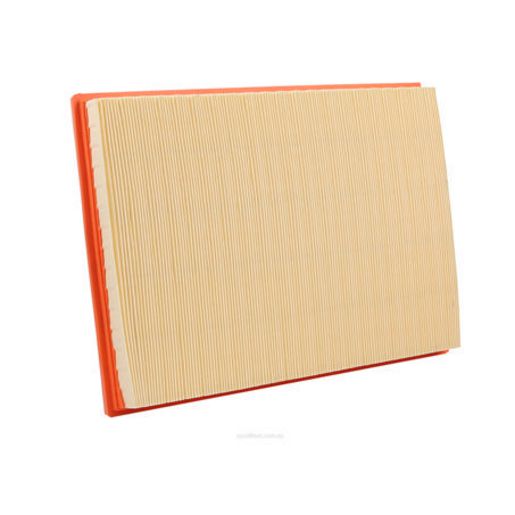 Ryco Air Filter A1790