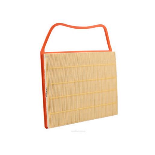 Ryco Air Filter A1787
